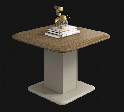 Square Wood Veneer Coffee Table